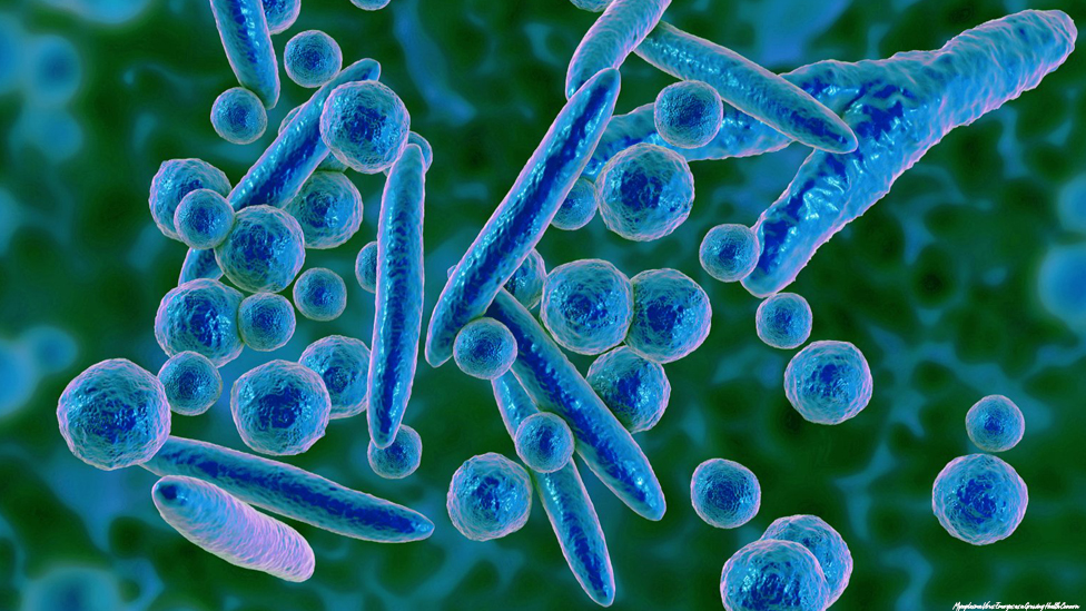 Mycoplasma Virus Emerges as a Growing Health Concern